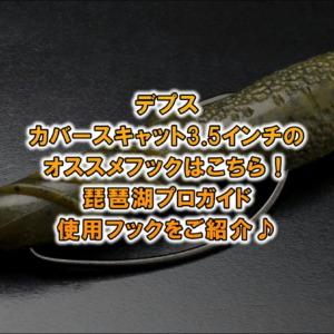 カバースキャット3.5 6つ　バラ売り可能 deps03.jpg
