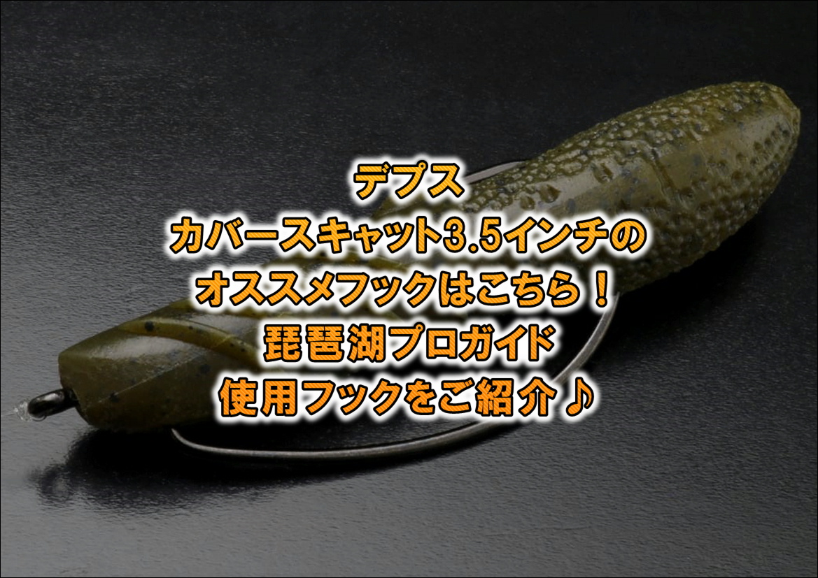 カバースキャット3.5インチのオススメフックはこちら！琵琶湖プロガイド使用フックをご紹介♪ BLINK