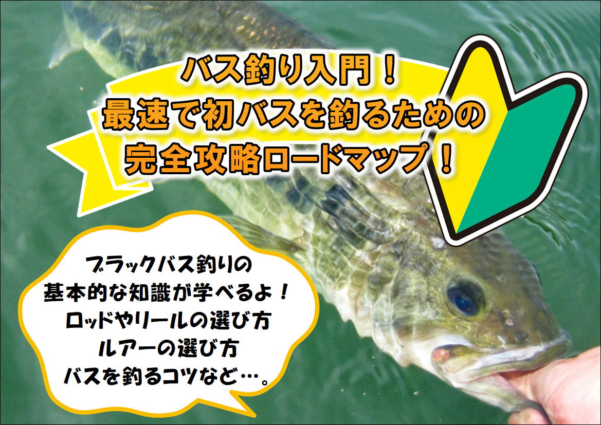 バス釣り入門 初心者が最速で初バスを釣るための完全攻略ロードマップ 記事一覧ページ Blink