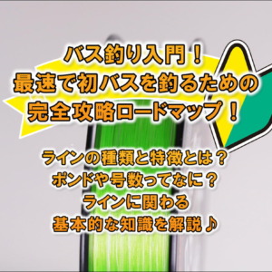 ラインの種類と特徴とは ポンドや号数ってなに ラインに関わる基本的な知識を解説 Blink