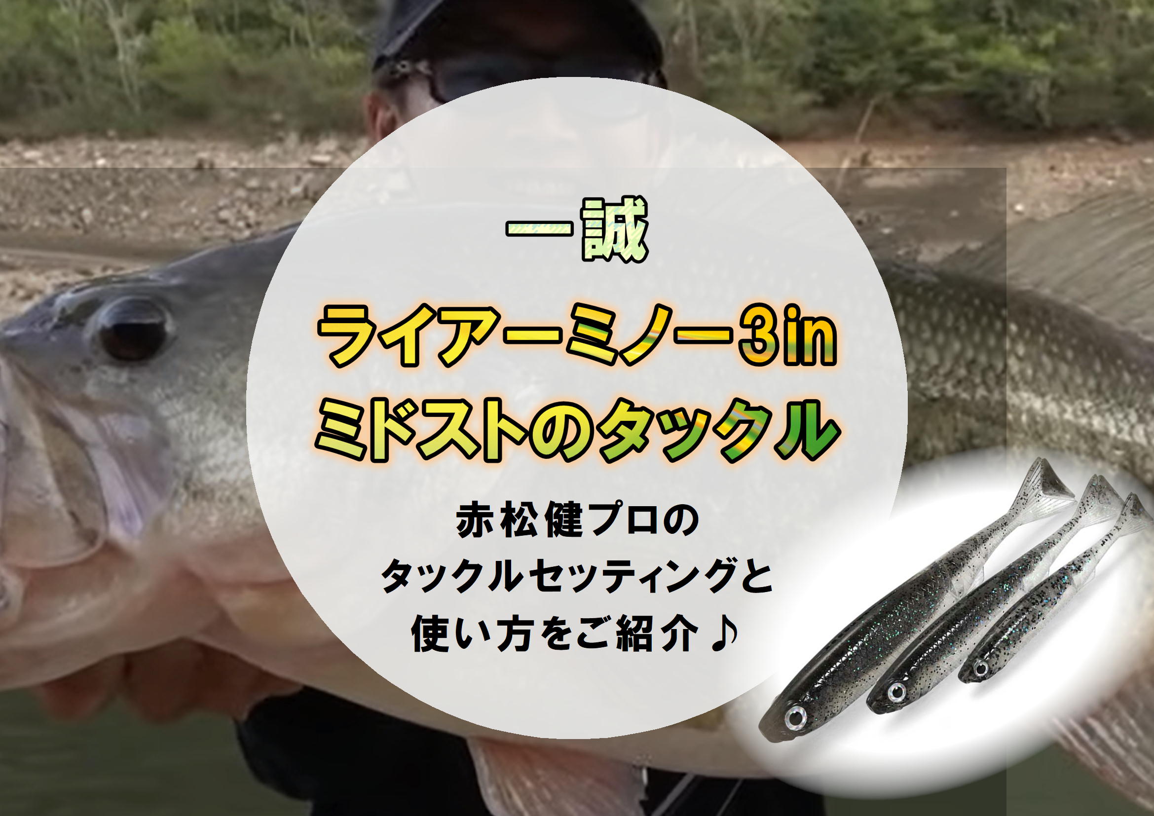 一誠 ライアミノー サカナサカナ スパテラ AKチャンクjr ミドスト ホバスト