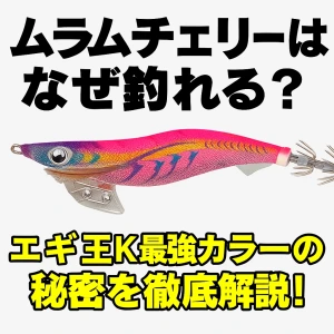 ムラムラチェリーはなぜ釣れる？エギ王K最強カラーの秘密を徹底解説
